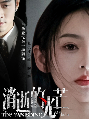 消逝的光芒（55集） 精彩好看的短剧