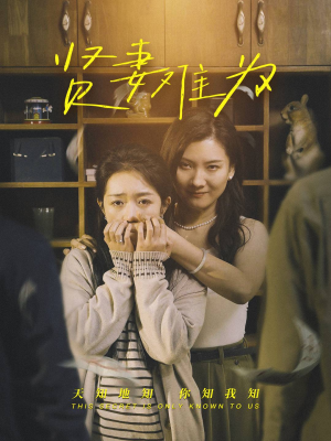 贤妻难为（30集） 全集完整版