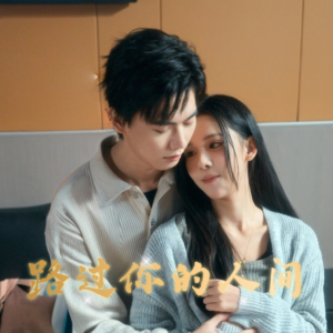 路过你的人间（31集）全集在线看