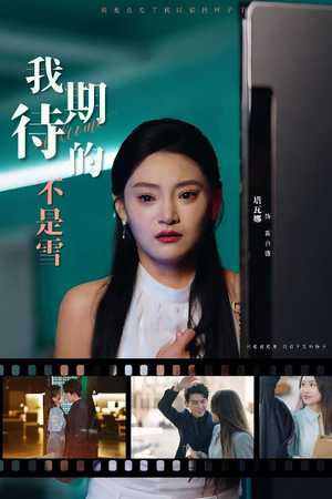 我期待的不是雪（30集）短剧在线看