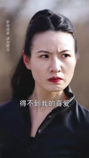 赤焰红颜 （40集）红果短剧看全集