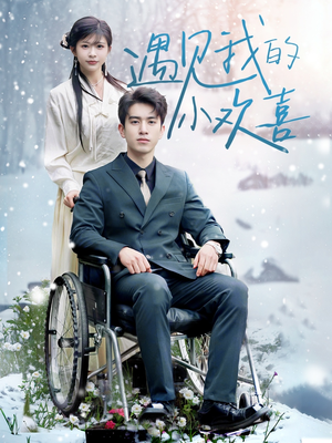 遇见我的小欢喜（70集） 最新短剧推荐