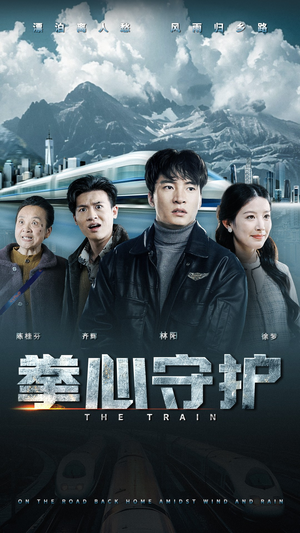 拳心守护（28集） 短剧免费观看