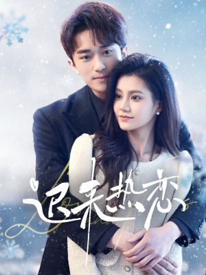 迟来热恋（70集）免费版