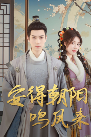 安得朝阳鸣凤来（32集）360网盘观看