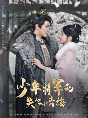 少年将军的失忆小青梅（100集）海量资源免费看