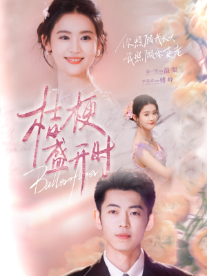 桔梗盛开时（92集）口碑之选免费看