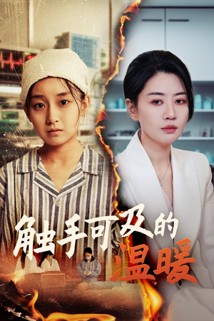 触手可及的温暖（48集）在线观看全集