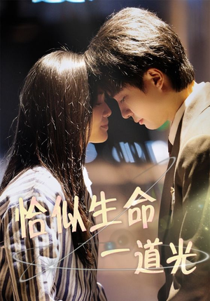 恰似生命一道光（60集） 夸克网盘在线看