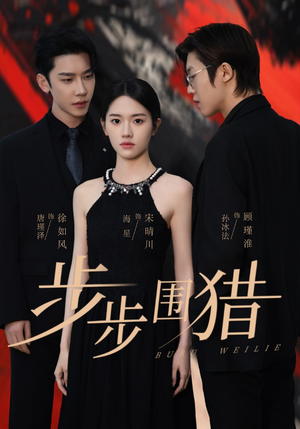 步步围猎（30集） 真的太精彩了