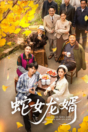 不负韶华不负卿（52集） 迅雷网盘观看