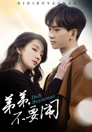 弟弟不要闹（43集） 最后的大结局