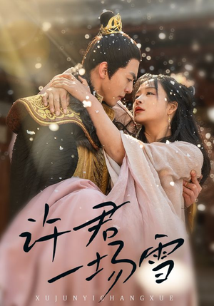 许君一场雪（43集）在哪里可以看