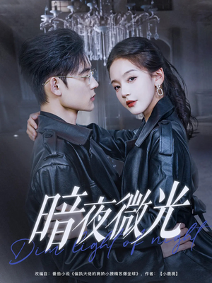 暗夜微光（86集）推荐好短剧
