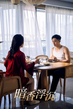 暗香浮沉（51集）第三季
