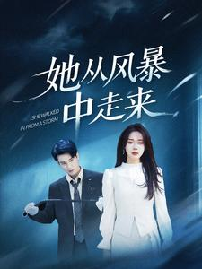 她从风暴中走来（60集）在线看完整版