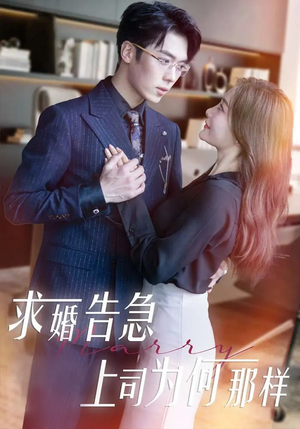求婚告急上司为何那样（70集） 热门短剧追不停