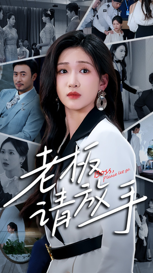 老板请放手（69集） 评价怎么样