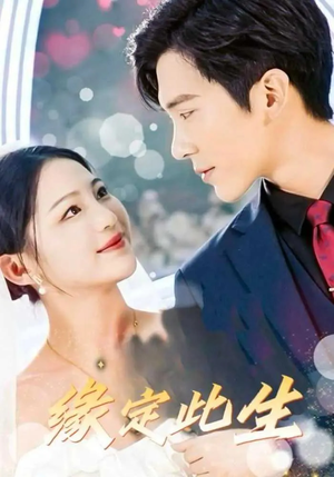 缘定此生（87集）热门短剧追不停