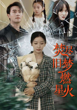 焚尽旧梦燃星火（71集）最新火爆短剧