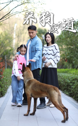 养狗应有道(60集) 养狗应有道(60集)高清无码免费看