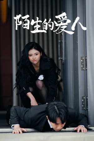 陌生的爱人（60集）穿越短剧推荐