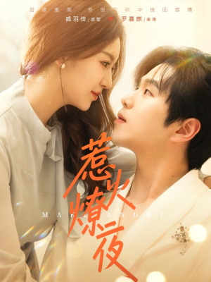 惹火燎夜（74集）第一季