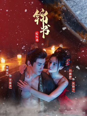 锦书谋权录（70集）评价怎么样