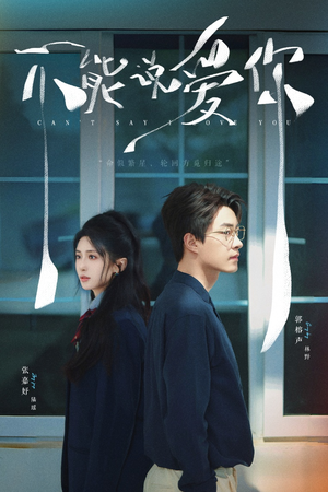 不能说爱你（64集）热播短剧排行榜