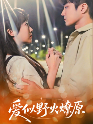 爱似野火燎原（47集）80到100集