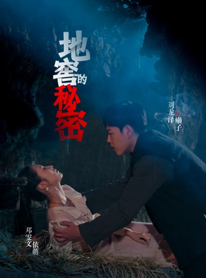 地窖的秘密（40集）集免费看短剧