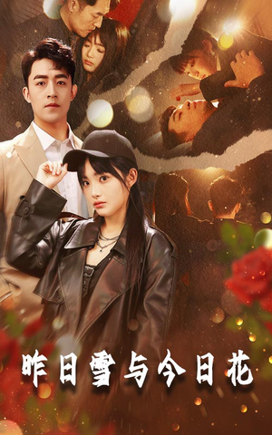 昨日雪与今日花（81集）短剧有好货推荐