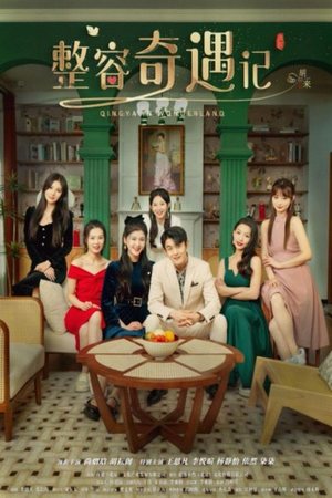 整容奇遇记（80集）精彩短剧下载