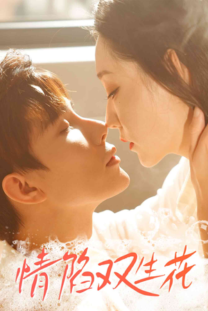 情陷双生花（30集）短剧解说全集
