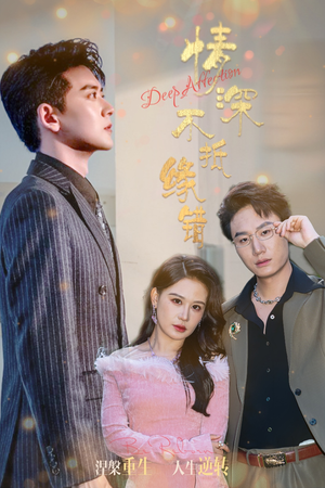 情深不抵缘错（60集）热门了短剧
