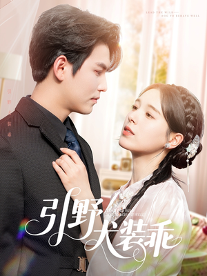 引野犬装乖（61集）热门短剧看不停