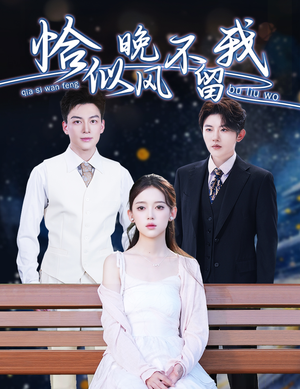 恰似晚风不留我（51集）精彩短剧随心推