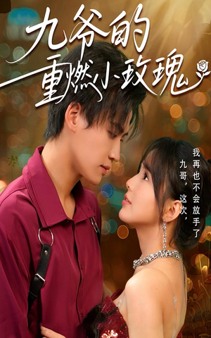 九爷的重燃小玫瑰（67集）热播短剧排行榜