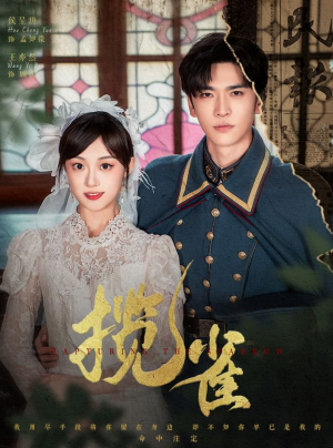 揽雀（61集）免费版