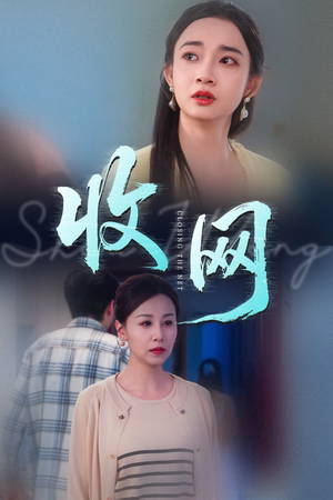 收网（60集）热门短剧分享