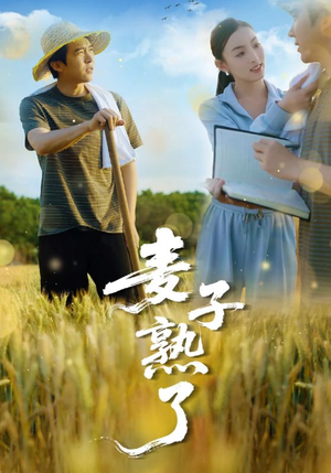 麦子熟了（52集）第一季