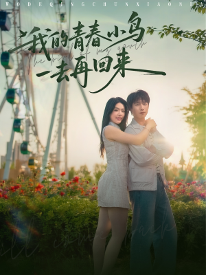 我的青春小鸟一去再回来（95集）追短剧看全集