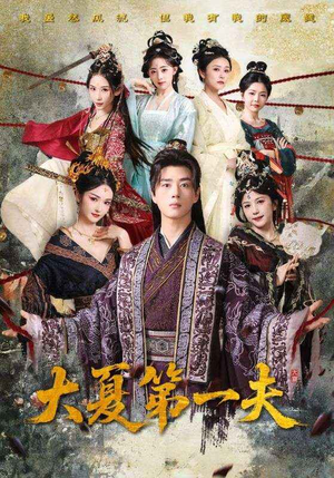 大夏第一夫（90集）在线看到大结局