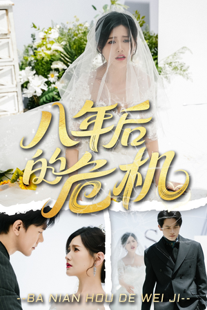 八年后的危机（35集）夸克网盘观看