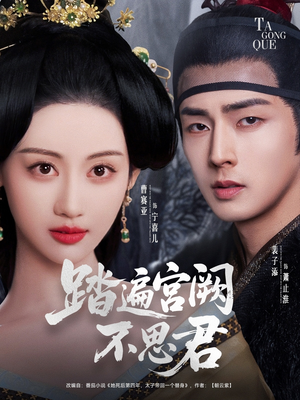 踏遍宫阙不思君（75集）流畅播放免费看