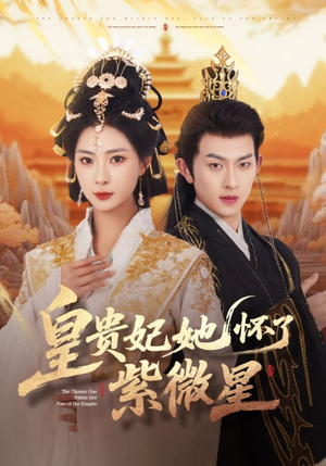 皇贵妃她怀了紫薇星（80集）热门短剧免费看