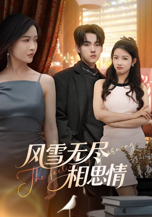 风雪无尽相思情（61集）亿万短剧抢先看