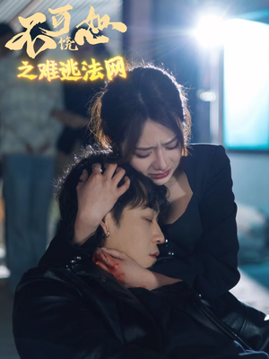 不可饶恕之难逃法网（20集）在线看