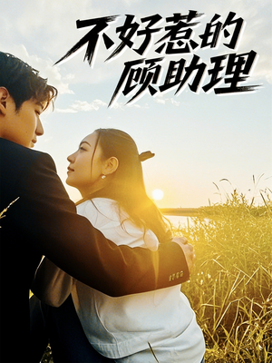 不好惹的顾助理（67集）最热门短剧来了