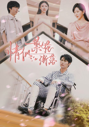 情似繁花渐落（62集）全集都在这里了